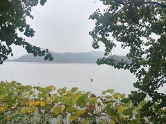 -东湖落雁景区