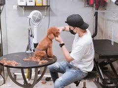 -PETKIT小佩宠物(昭化店)