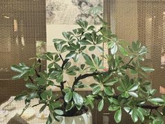 -淮扬府(安定门店)