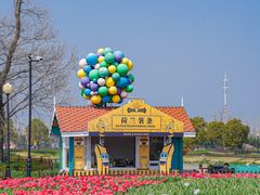 -荷兰花海