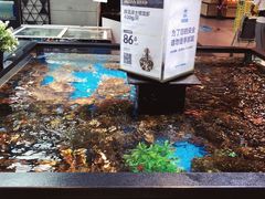 水产区-盒马鲜生(宝地店)