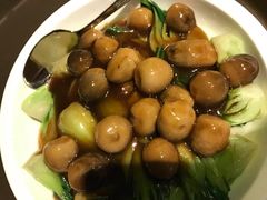 -中国厨房/台湾牛肉面