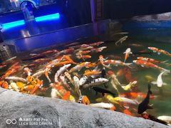 -石家庄海洋公园