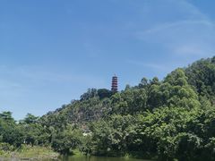 -南沙蒲洲花园