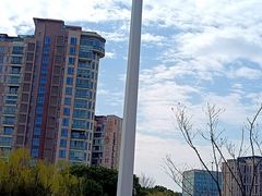 -新江湾城公园