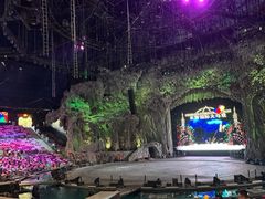 -广州长隆国际大马戏