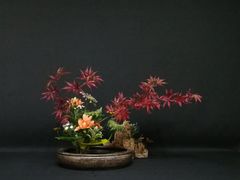 -荷兰布尔玛国际花艺学院