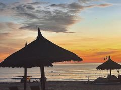 -芽庄中心购物广场