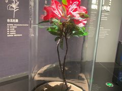 -中国湿地博物馆