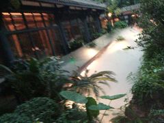 -大妙火锅·非物质文化遗产(东湖公园店)