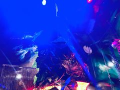 -醉小酒馆·川菜·江湖菜·重庆菜(观音桥旗舰店)