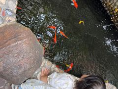 -茶米人花园餐厅