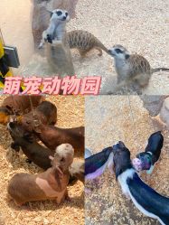 -欢乐舟·舟舟玩乐园