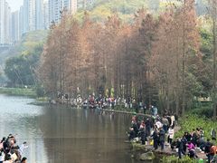 -重庆彩云湖湿地公园
