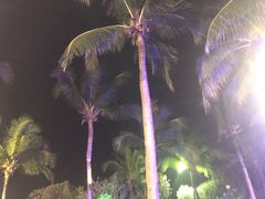 -亚龙湾喜来登·美景台大堂吧