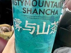 -雾与山茶(大禹城店)