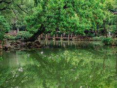 -惠山古镇·寄畅园