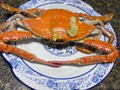 -渔民船说·北塘海鲜·天津菜·海肠捞饭(北塘古镇店)