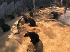 -泉州海丝野生动物世界