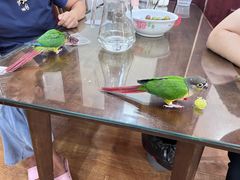 -观桥阁(锦溪店)