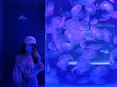 -左海海底世界