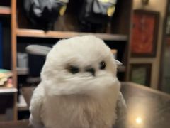 -上海长风大悦城