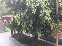 -北国之春国宴(乌兰察布店)