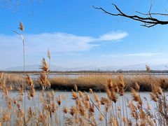 -野鸭湖国家湿地公园