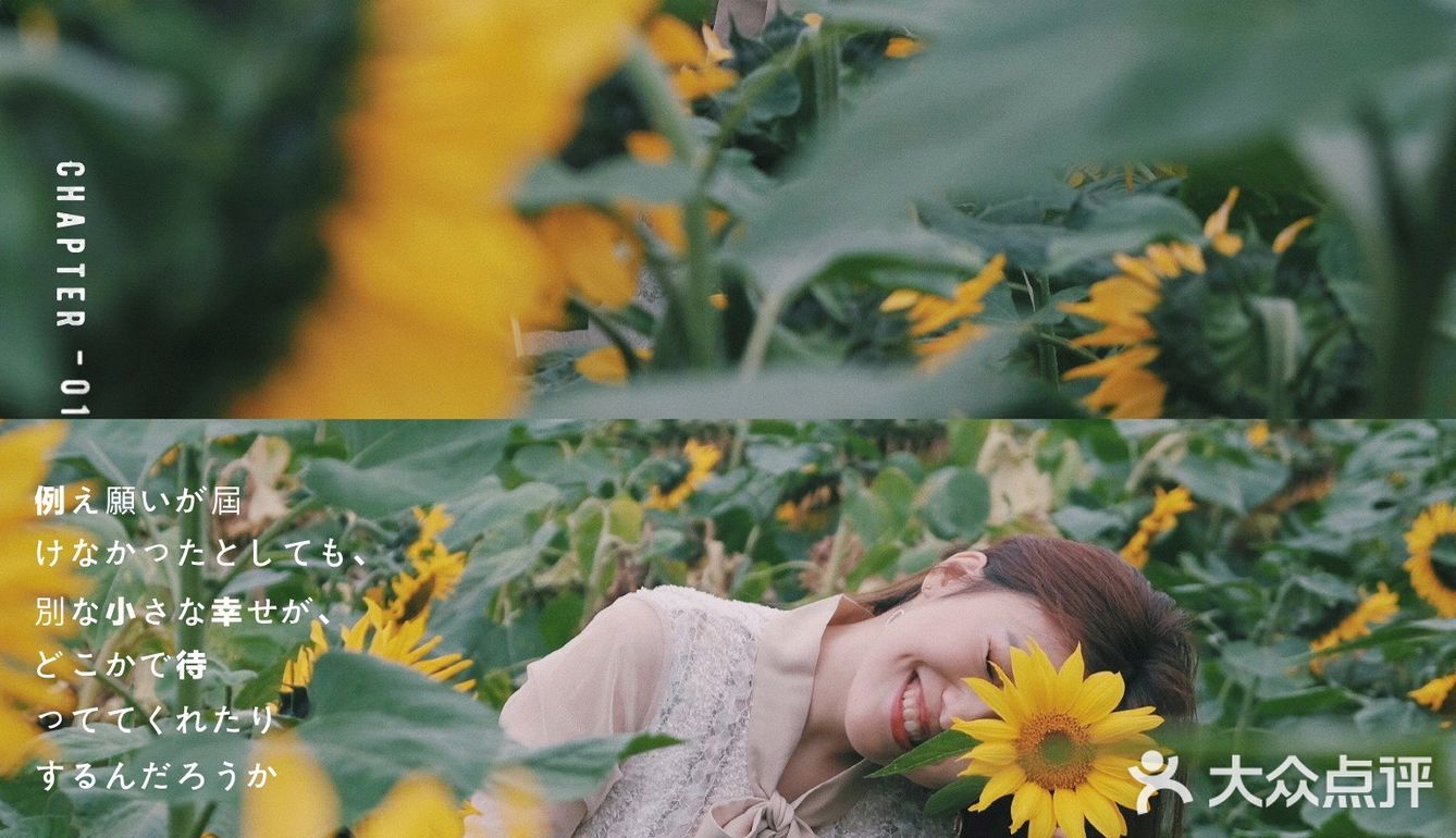 广州周边0元拍照地｜春日里的向日葵花海🌻