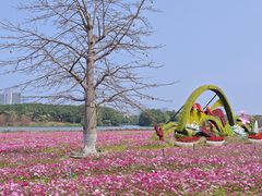 -海珠湖公园