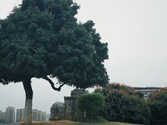 -红花山公园