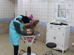 店内环境-诺比宠物医院心脏内科·泌尿肾内外科·骨科急重症