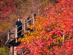 -九如山休闲旅游度假区