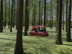 -渌洋湖湿地公园