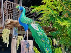 -西双版纳傣族园