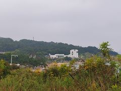 -海岛日记(养马岛店)