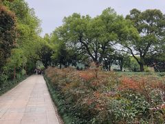 -中国茶叶博物馆(双峰馆区)