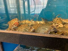 -华盛丰温州大排档(东三环南路店)