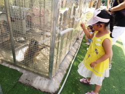 -萌宠亲子动物乐园(槐房万达店)