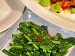 樱花虾炒山苏-南海渔村(珠江新城店)