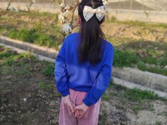 -喜杨洋草莓采摘园