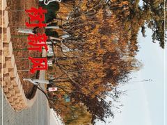 -大兴滨河森林公园