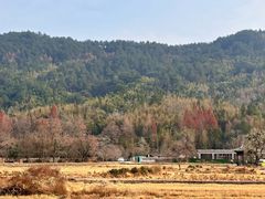 -塔川景区