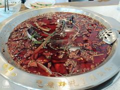 -老表牌·蛙蛙鸡冷锅鱼(成都东站店)