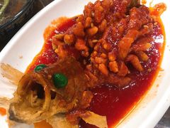 -协和菜馆(凤凰街店)