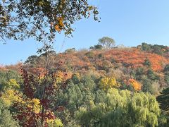 -香山公园