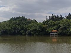 -深圳仙湖植物园