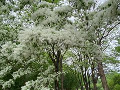 -国家植物园南园