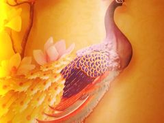 -富侨养生(康乾店)