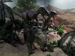 -国家自然博物馆